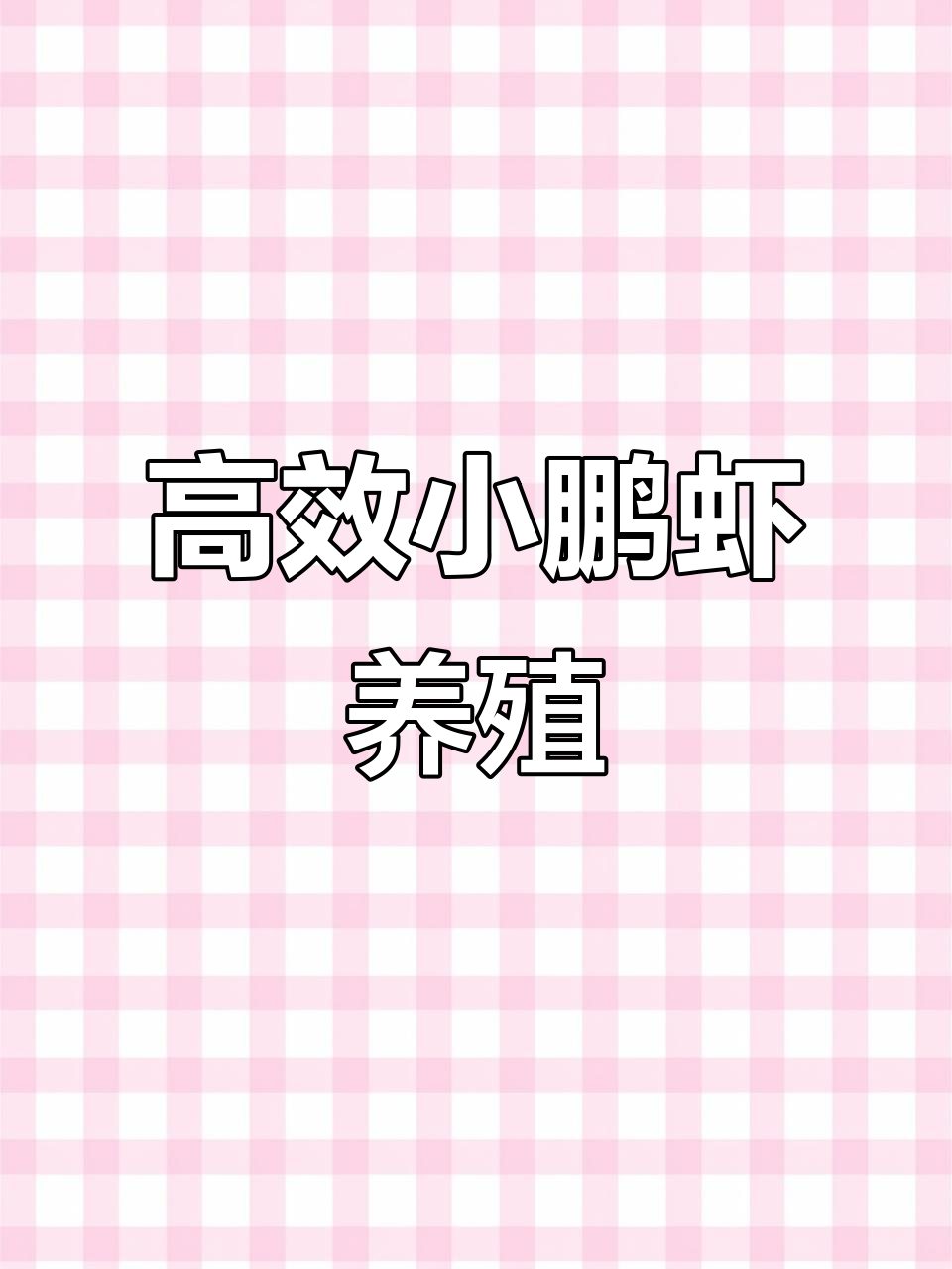 小鹏虾养殖模式揭秘:零排放、高效率的工厂化养虾技术