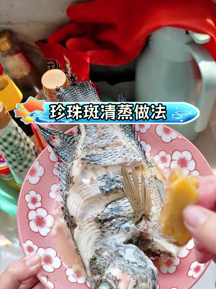 清蒸珍珠斑,厚实美味,家庭做法超简单