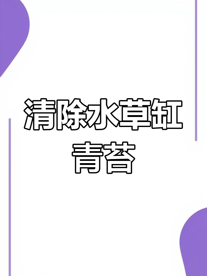 水草缸青苔藻类清理妙招,胡子鱼和黑壳虾帮你搞定