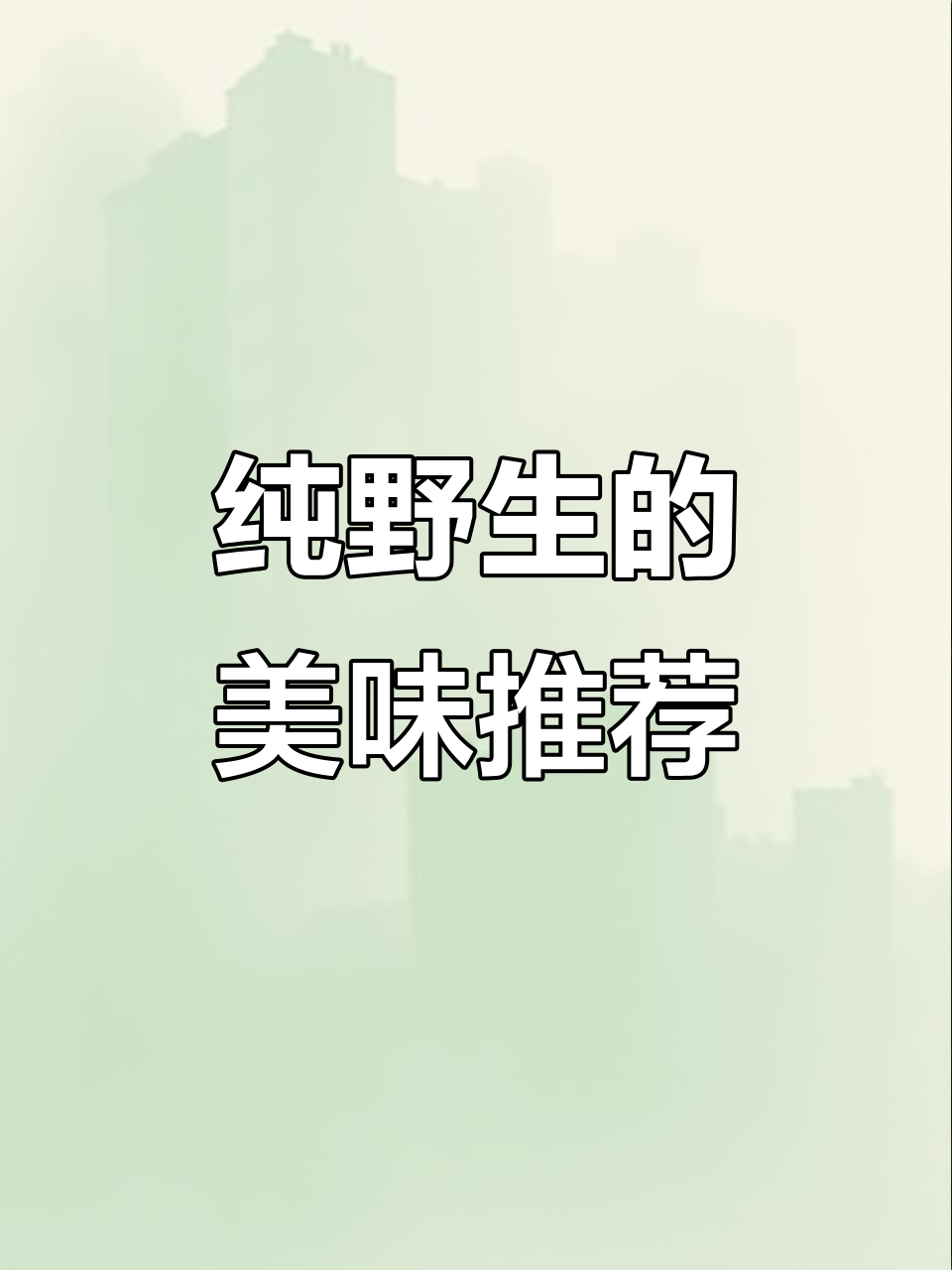 野生黑鱼、黄鳝和泥鳅大揭秘,六斤龙鳅等你来尝