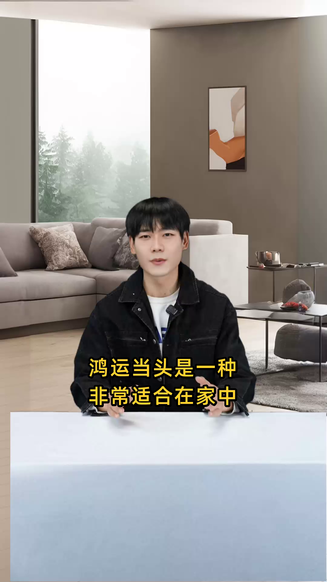 鸿运当头这种植物是否适合在家中养殖和观赏?
