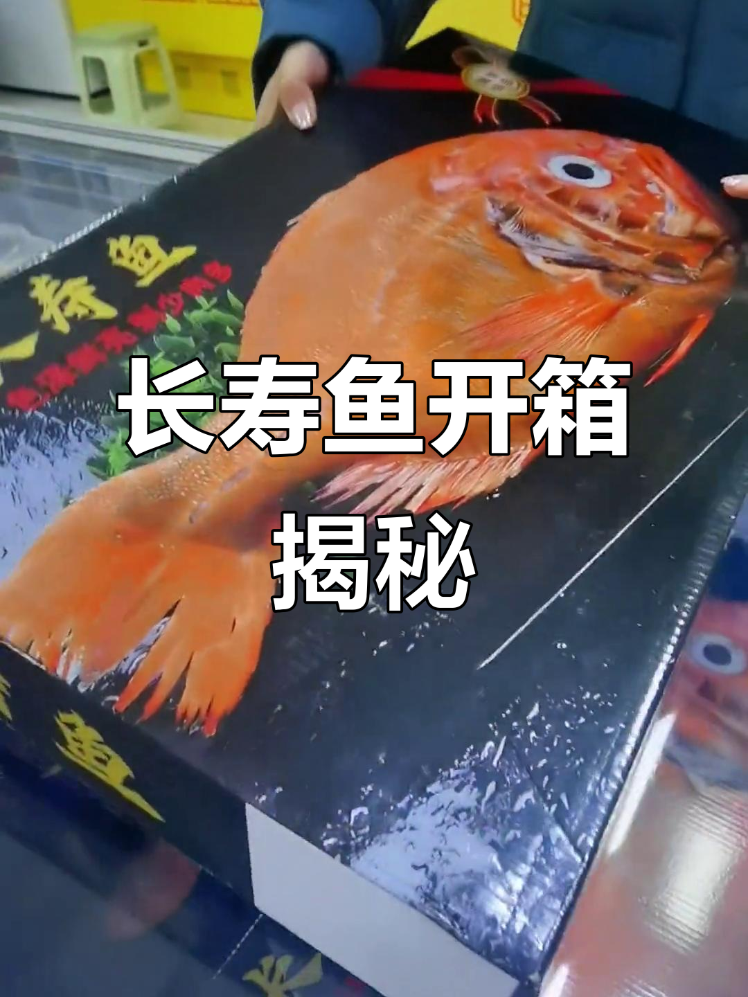 六十斤长寿鱼开箱,透红美丽让人惊艳