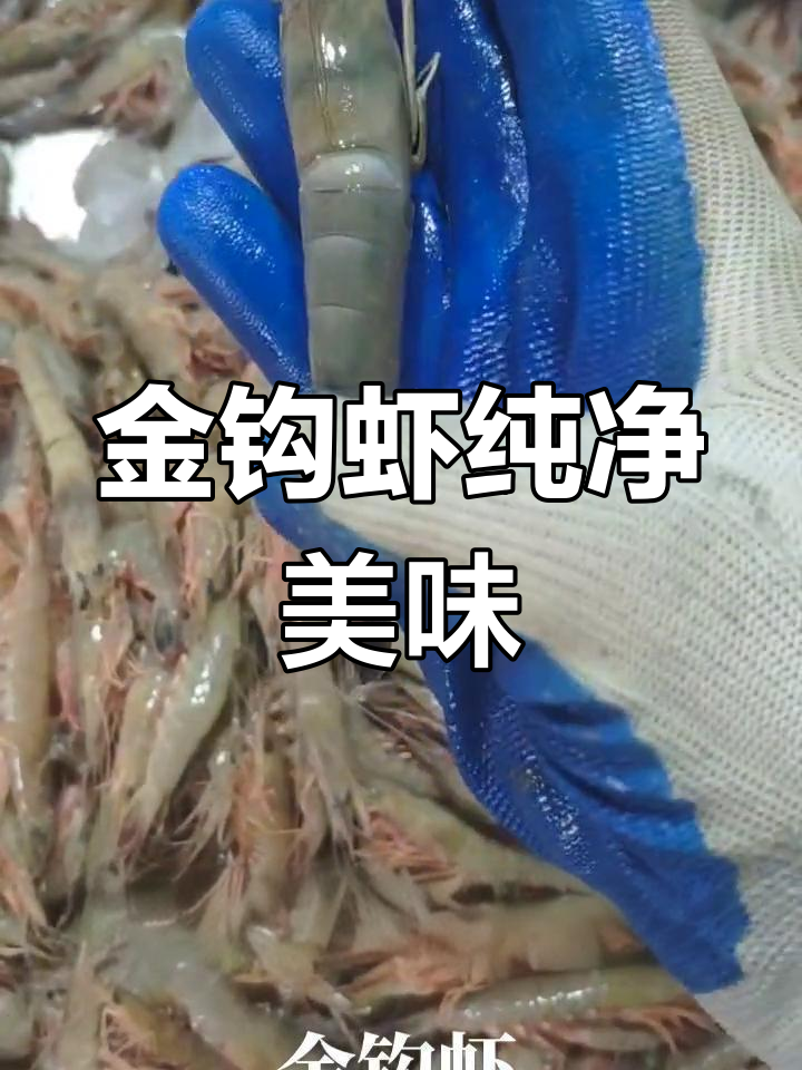 野生金钩虾,纯天然无添加,膏满肉嫩