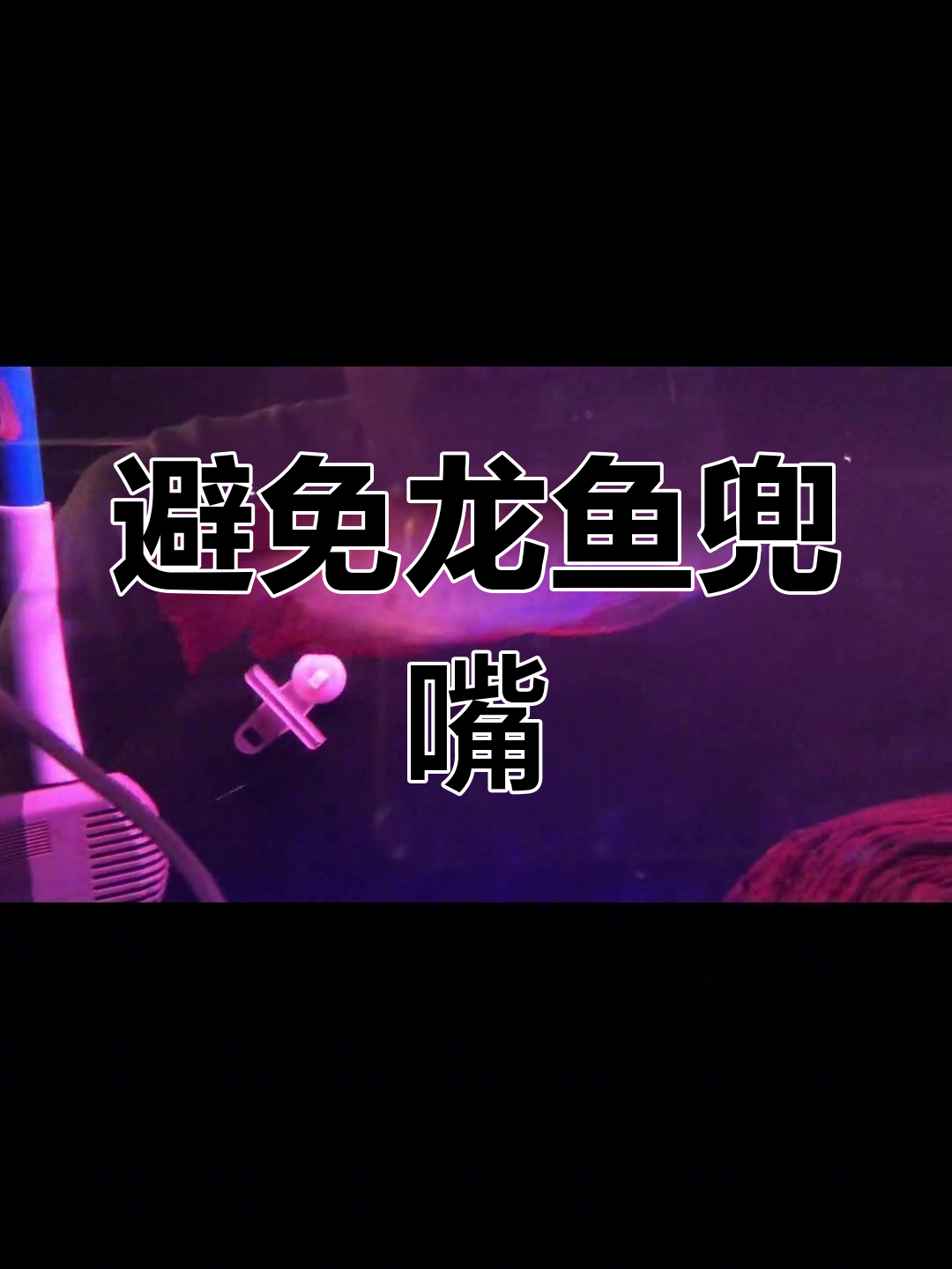 龙鱼兜嘴的原因与矫正方法