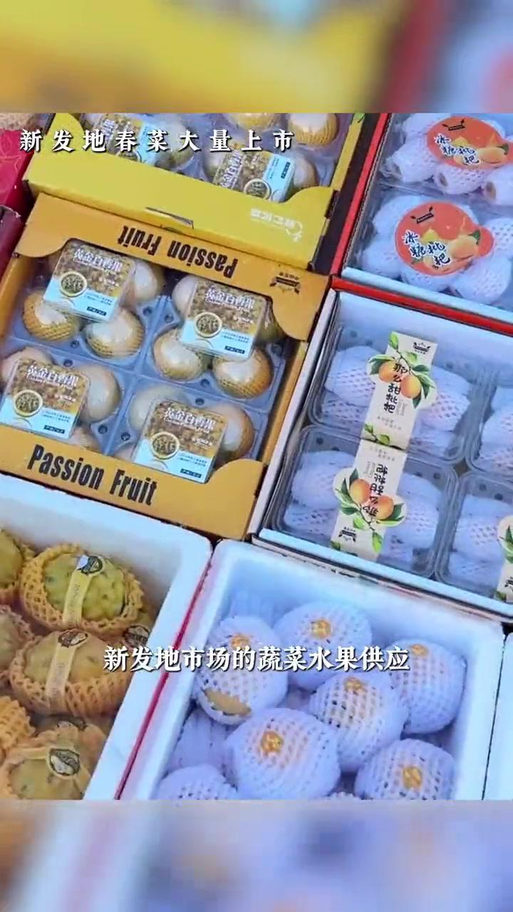 新发地春菜、应季水果供应量增加热门品类销售火爆