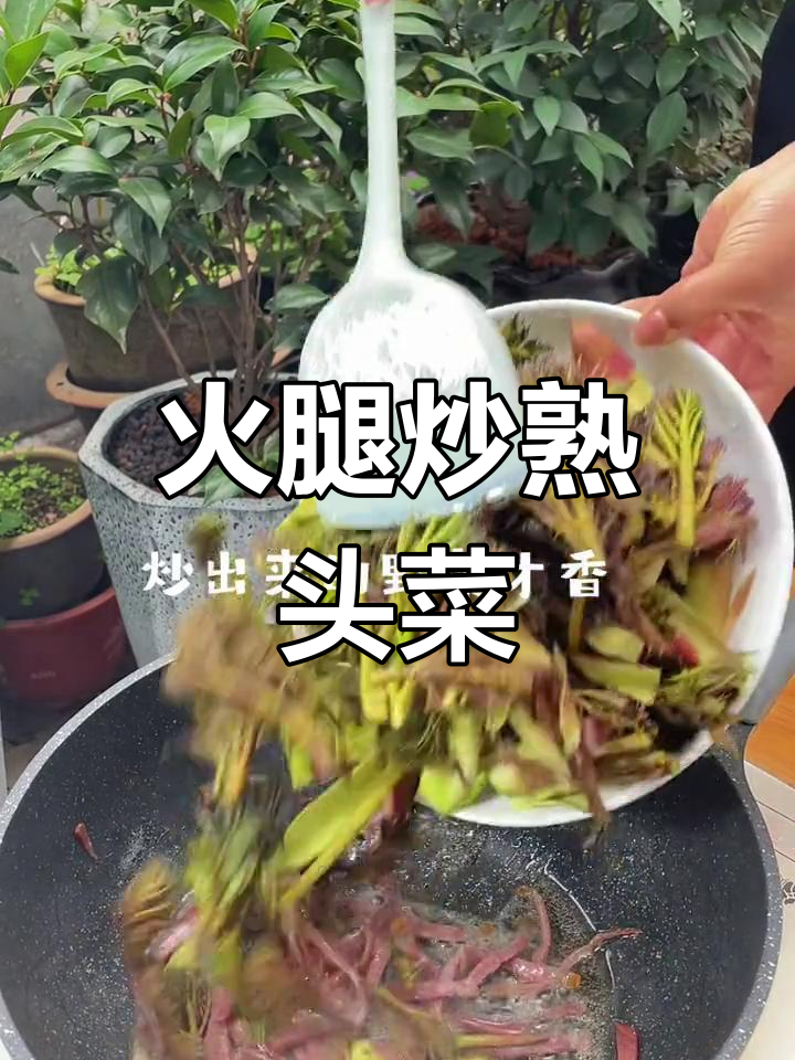 炒树头菜比凉拌更苦,火腿搭配猪油才香