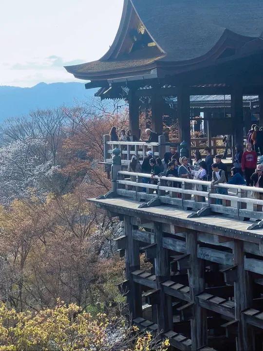 浅草寺的观音殿,也被称为正殿,浅草寺的核心建筑,也是东京乃至全日本重要的宗教场所。浅草寺历