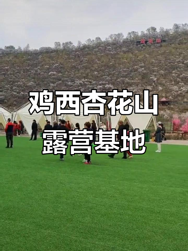 鸡西杏花山文化旅游节,赏花露营两不误
