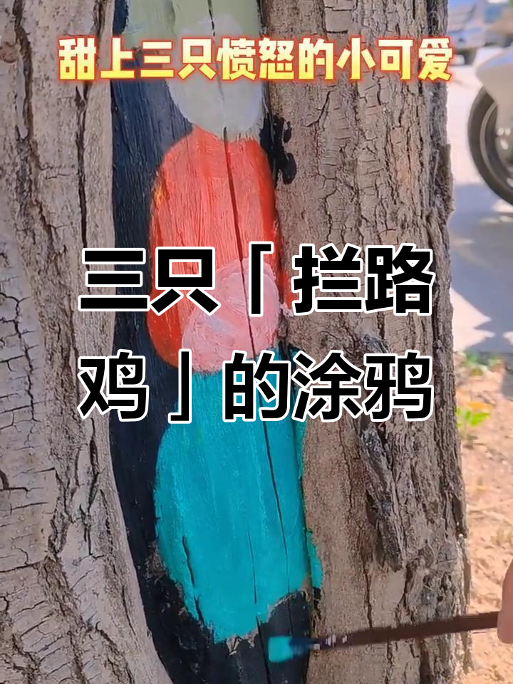 约会路上遇到三只愤怒小鸡,萌态十足!