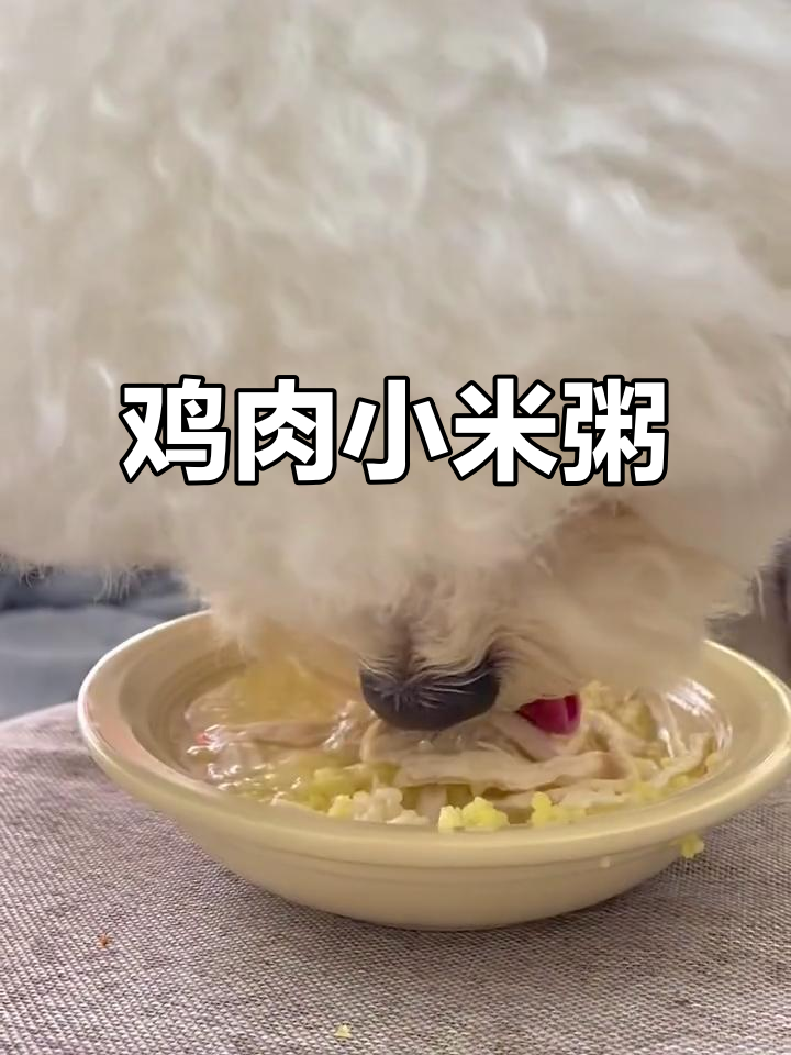 鸡丝小米粥,简单又美味!