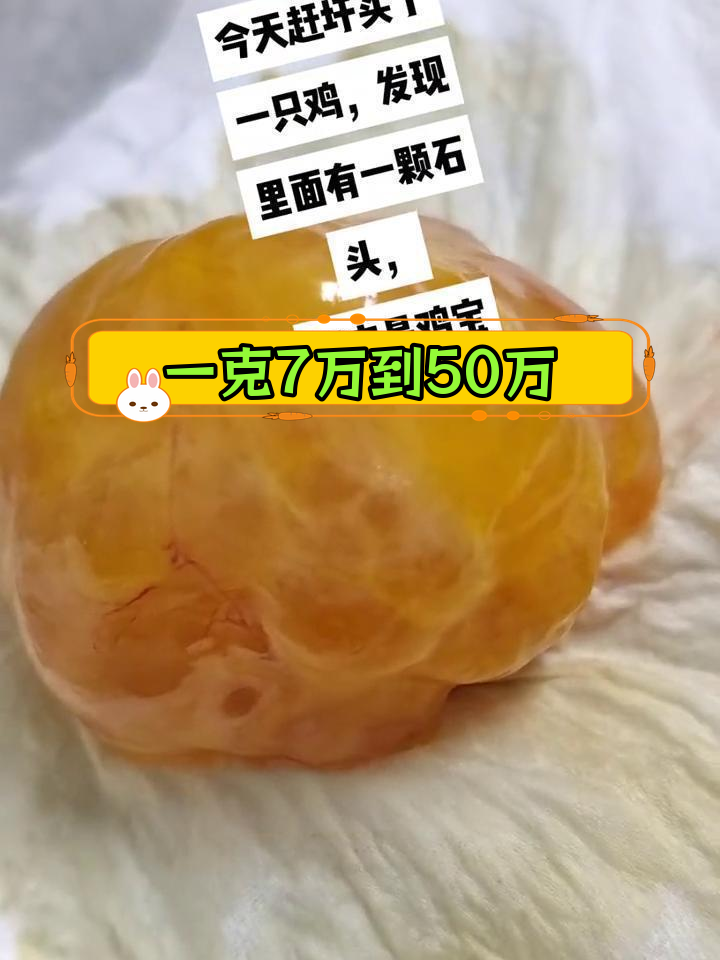 鸡宝现身,价值惊人
