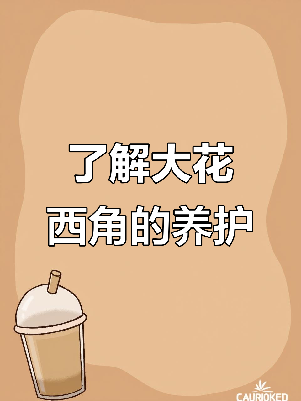 大花西角:独特多肉植物,生长环境与养护技巧揭秘