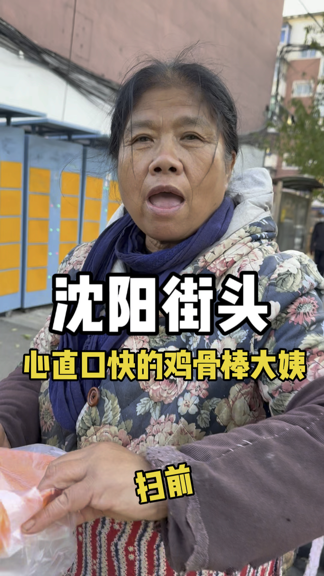 沈阳街头,鸡骨棒大姨