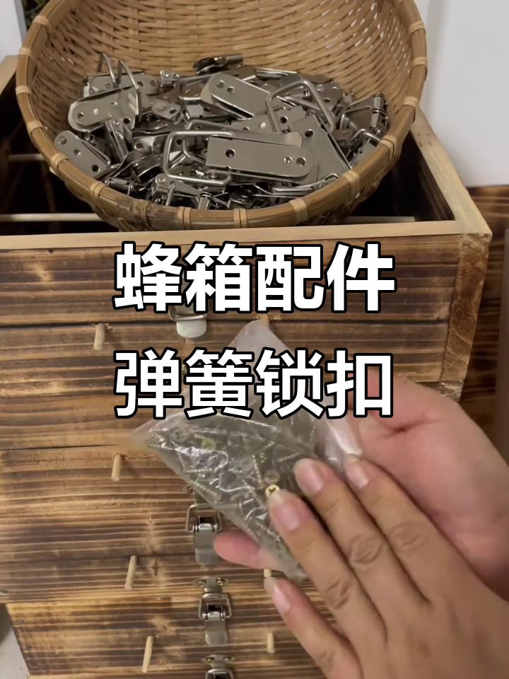 蜂箱连接必备！金属弹簧鸭嘴扣，防锈防腐更稳固