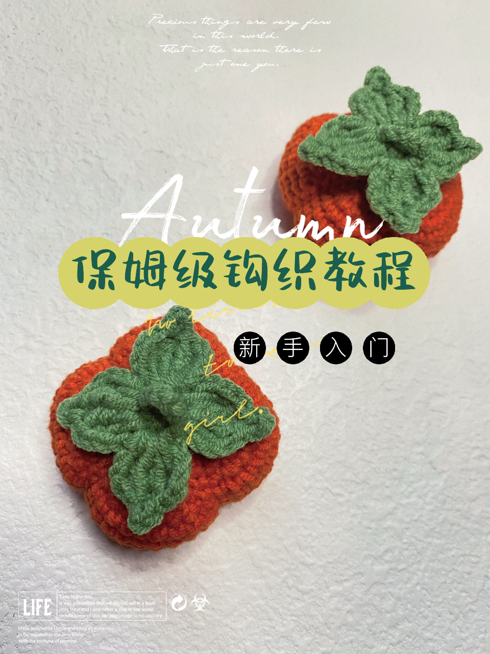 一柿柿如意!新手入门必看保姆级钩织教程