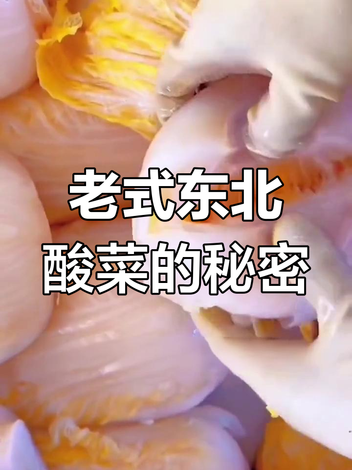 东北大酸菜,老式腌制法揭秘,黄心不烂的秘诀
