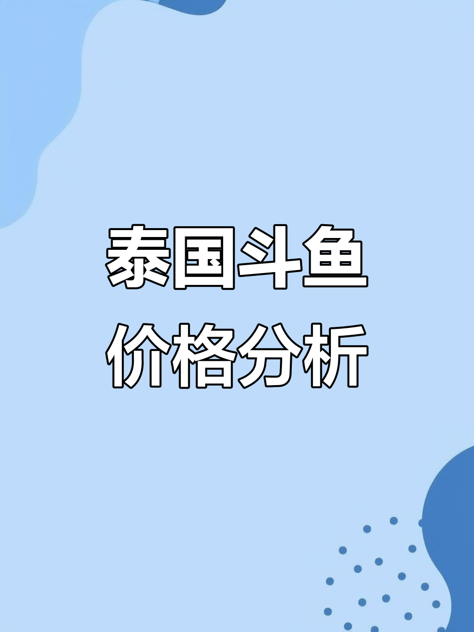 泰国斗鱼价格大揭秘!铜货与精品鱼的差距,绿水鬼竟只卖一百多