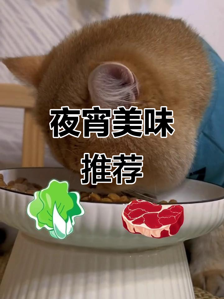金师傅深夜食堂,香酥鸭肉绒等你品尝!