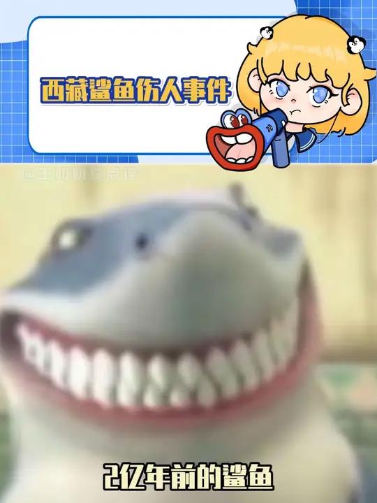 西藏鲨鱼伤人事件