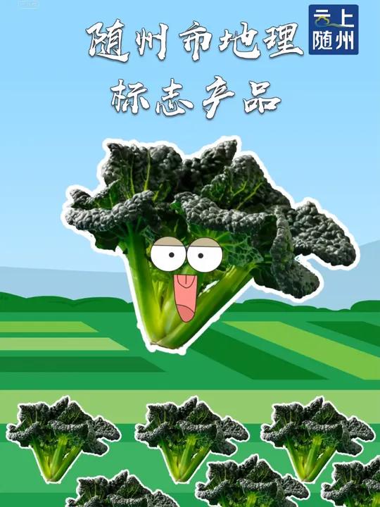 今天冬至,你吃泡泡青了么?冬至二十四节气随州(编辑:徐娟)