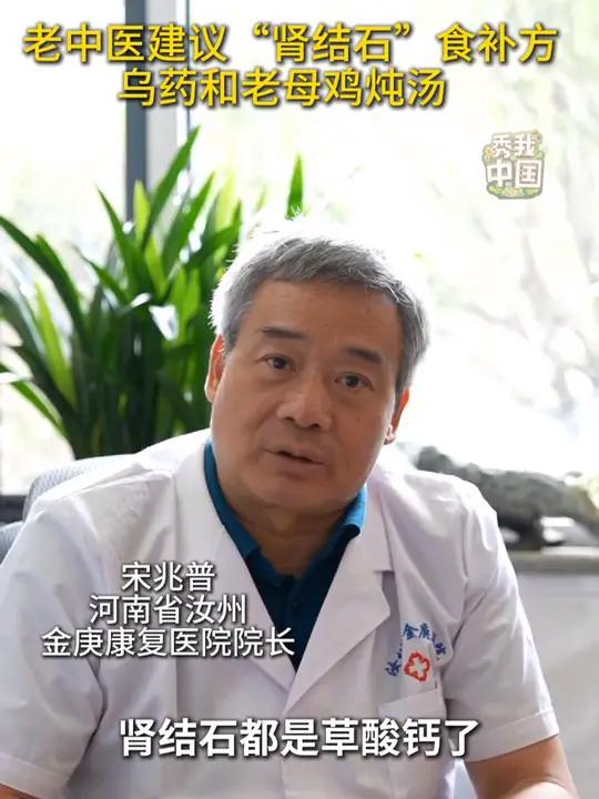 宋兆普院长建议的“肾结石”食补方,乌药和老母鸡炖汤,转发需要的人!宋兆普 健康 肾结石 秀