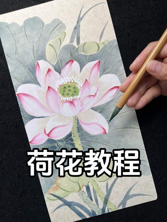 零基础学国画荷花图，完整详细绘画教程