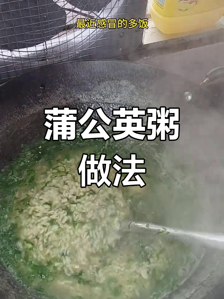 蒲公英煮粥,清热解毒又美味,感冒必备!