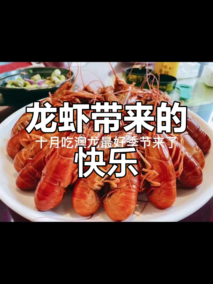 澳洲淡水龙虾的狂欢