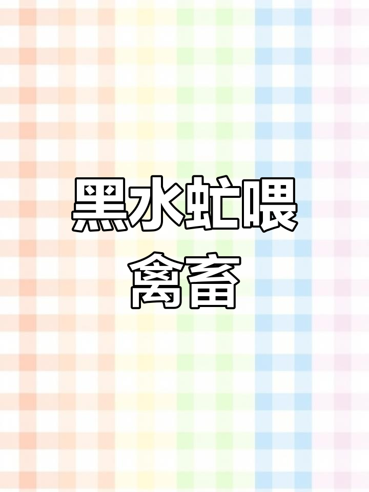 黑水虻替代饲料,养鸡鸭鱼虾蟹更环保