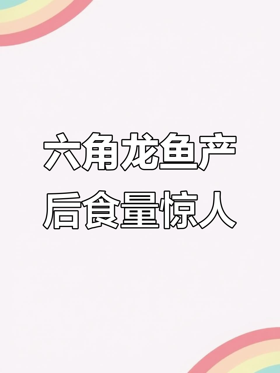 六角恐龙鱼产卵后食欲大增,竟然吞了孩子的“玩具”