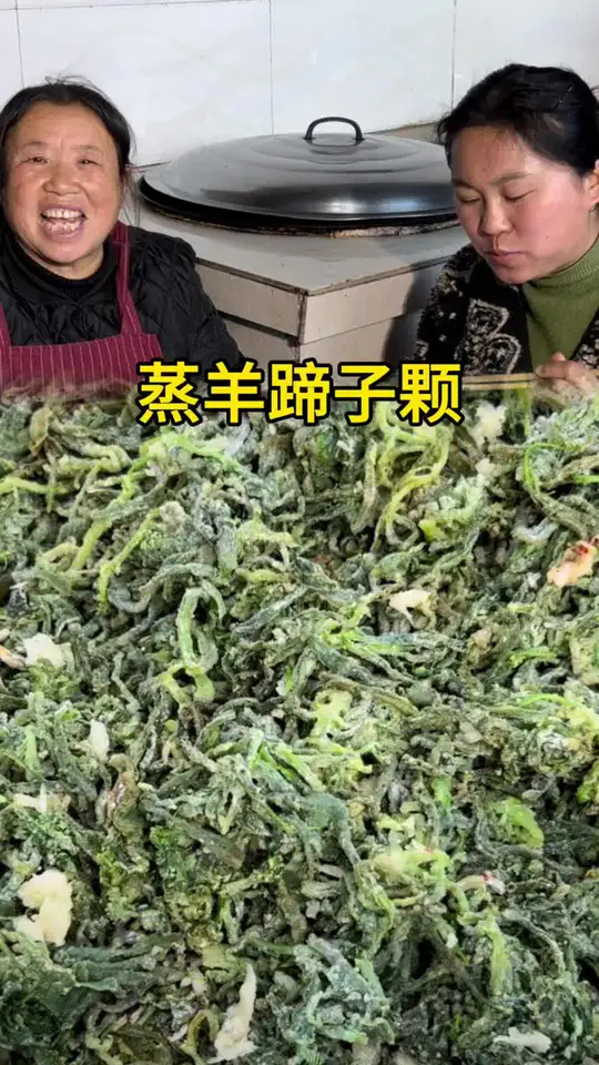 立春过后正是吃野菜的时候,家住农村的朋友可以去地头挖点面条菜蒸了吃