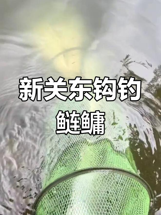 钓鲢鳙必备新关东钩,轻松应对大鱼挑战