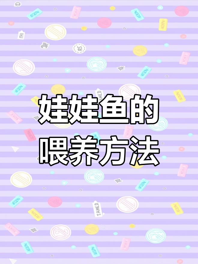 人工养殖娃娃鱼喂食技巧:如何选择合适的饲料