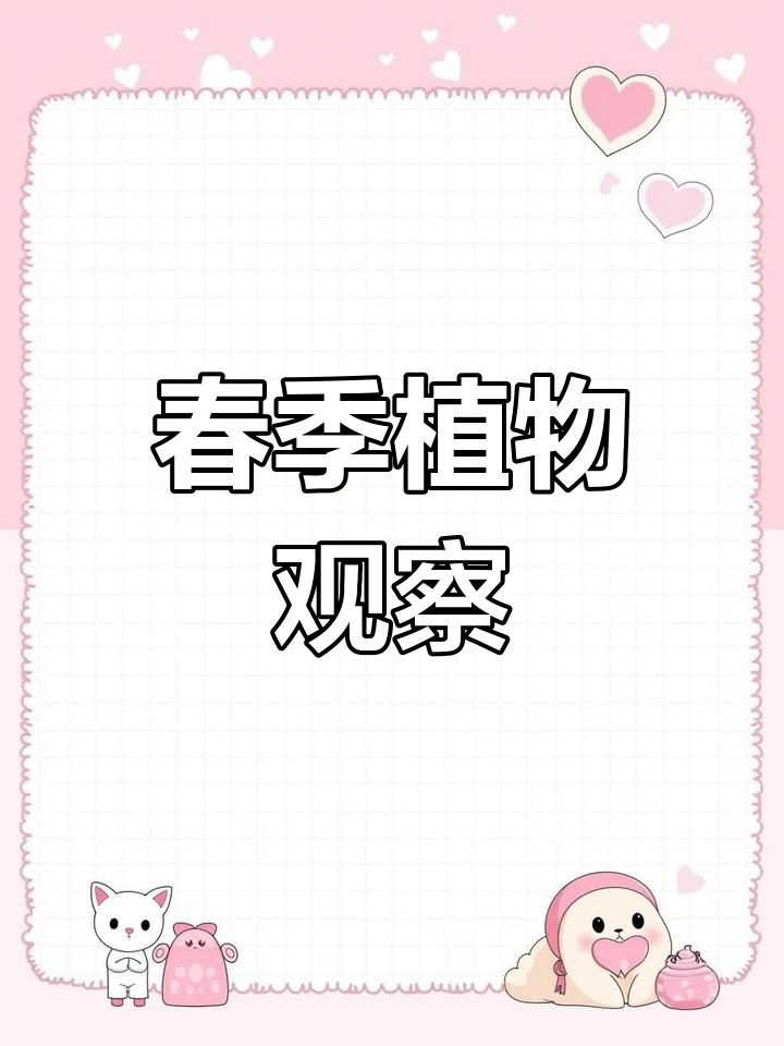 春季植物观察全纪录,记录生长与变化