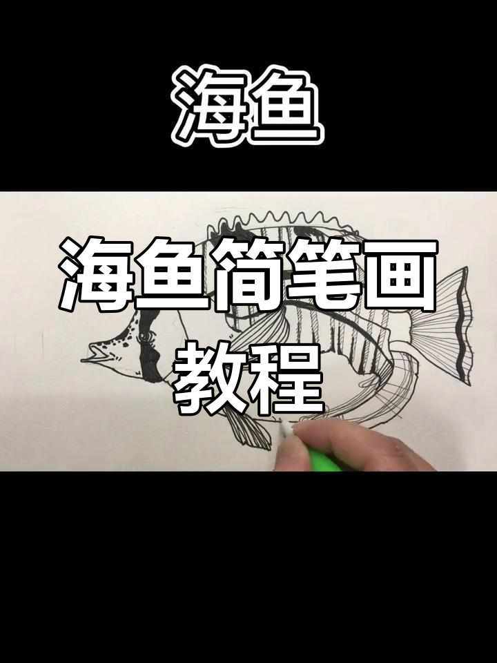 零基础也能轻松画出可爱海鱼,简单步骤教你掌握