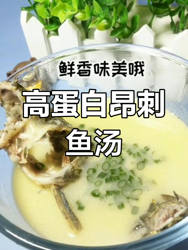 昂刺鱼营养汤,滋补又美味
