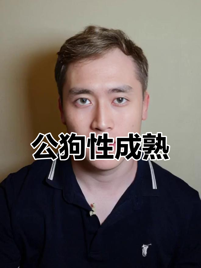 10个月大时,公犬才具备繁殖能力
