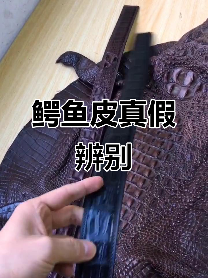 鳄鱼皮真相大揭秘,别轻信陌生人!