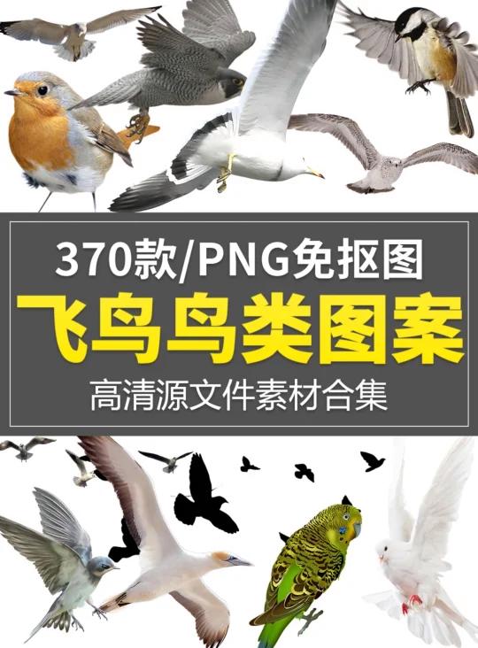鸟群飞鸟鸟类仙鹤麻雀图案剪影透明免抠素材