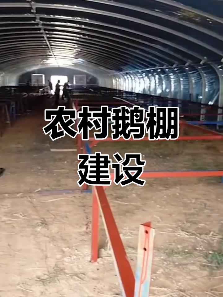 鹅棚搭建全流程,严谨设计值得学习