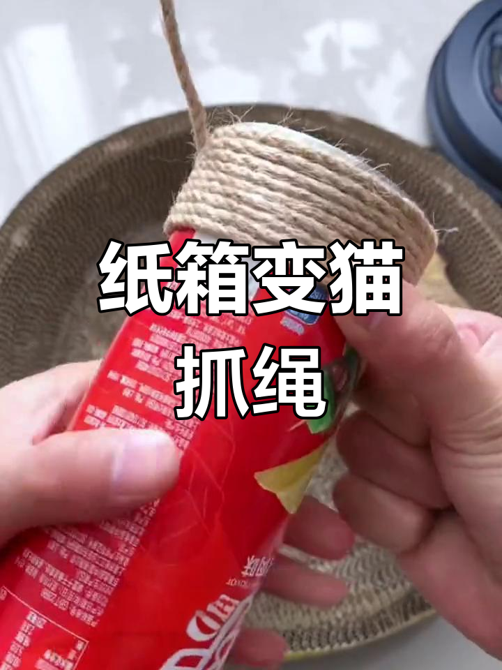用废旧薯片包装盒做猫爬架,简单又有趣