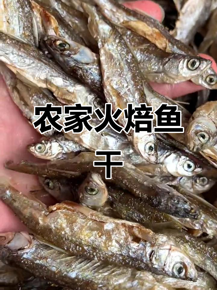湖南农家火焙小鱼干,香辣脆嫩的家乡味