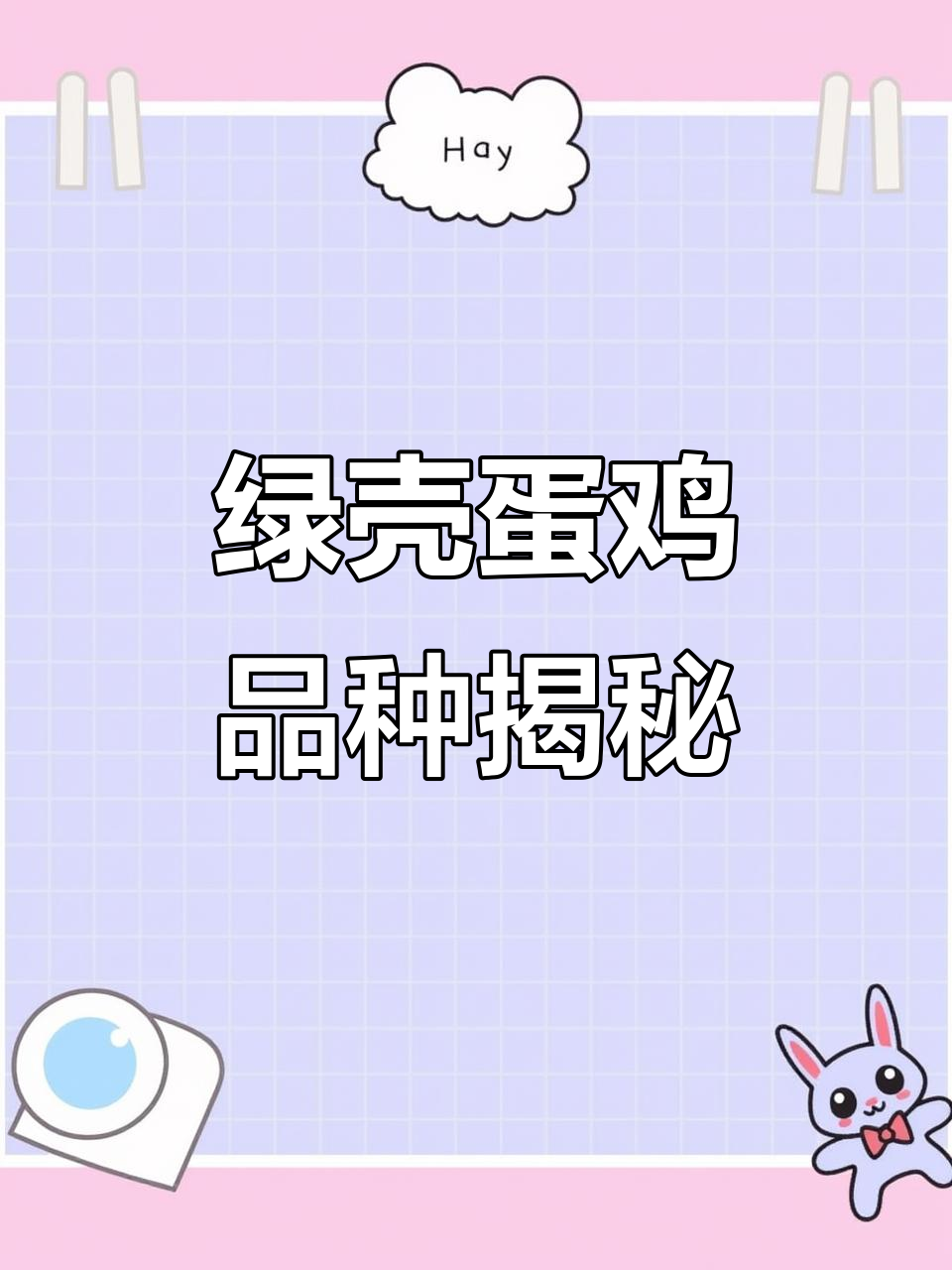2026年带你了解:绿壳蛋鸡种类与芦花鸡苗