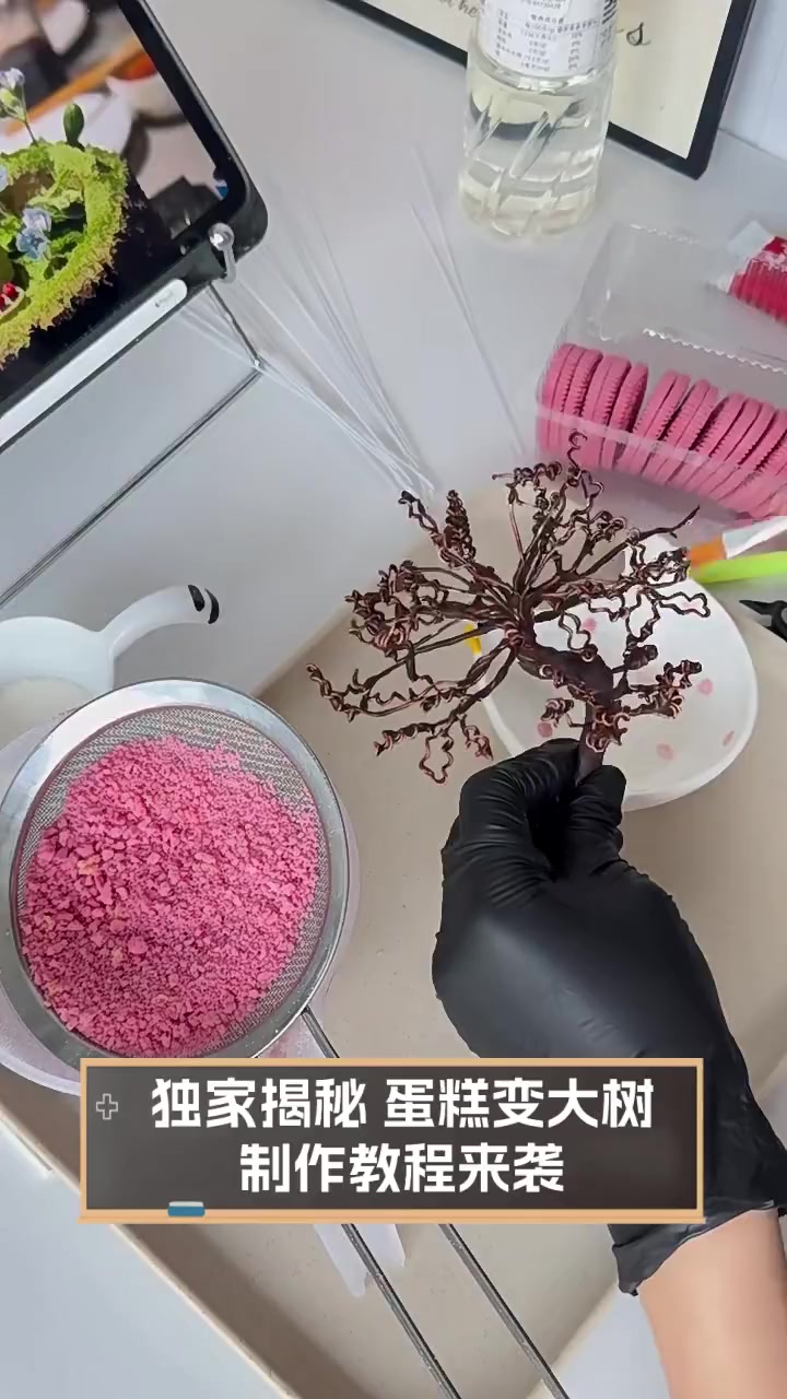 独家揭秘,蛋糕变大树,制作教程来袭