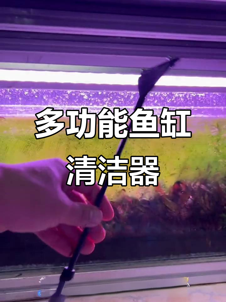 三合一鱼缸清洁工具,刮枣刀、平沙铲和毛刷一应俱全