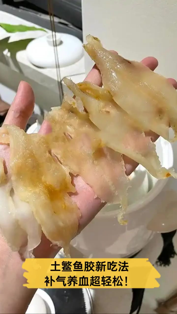 土鳘鱼胶新吃法,补气养血超轻松!