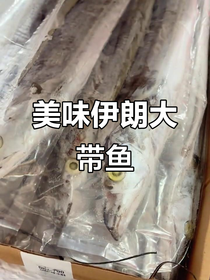 伊朗深海带鱼,鲜嫩绵糯,营养丰富