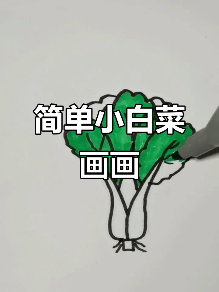 小白菜简笔画，轻松学会亲子画