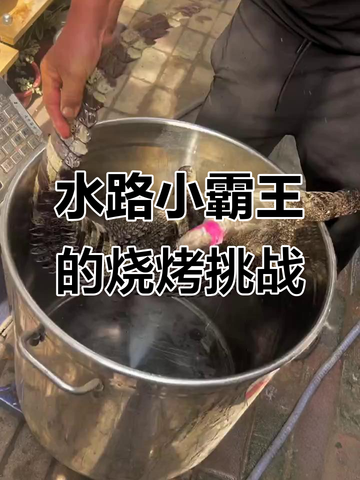 烤鳄鱼也能这么玩,水陆小霸王轻松搞定