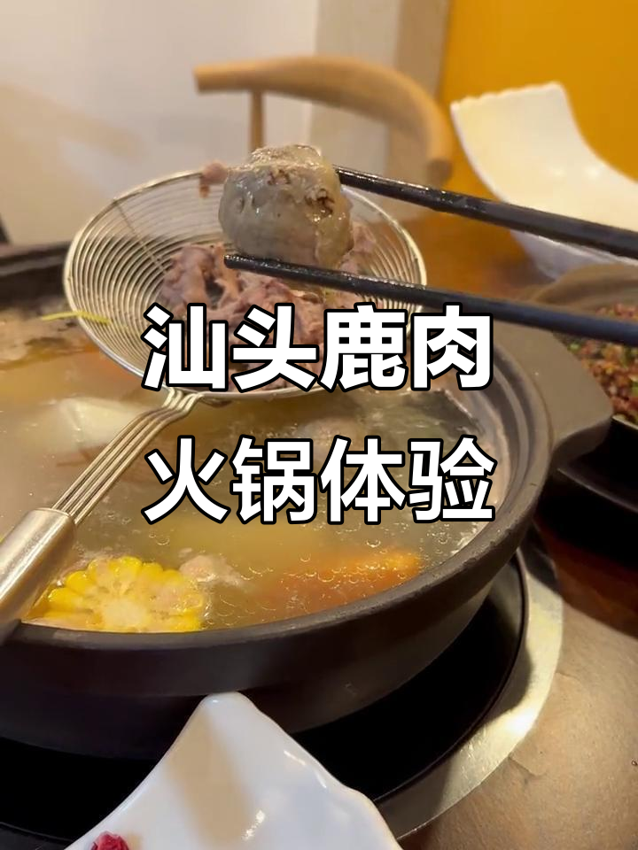 汕头鹿肉火锅大揭秘,驴骨汤底搭配鲜嫩鹿肉